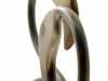 Fenicotteri